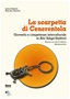La scarpetta di Cenerentola